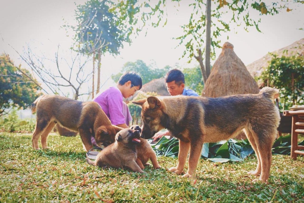 Mai Chau Valley Retreat المظهر الخارجي الصورة