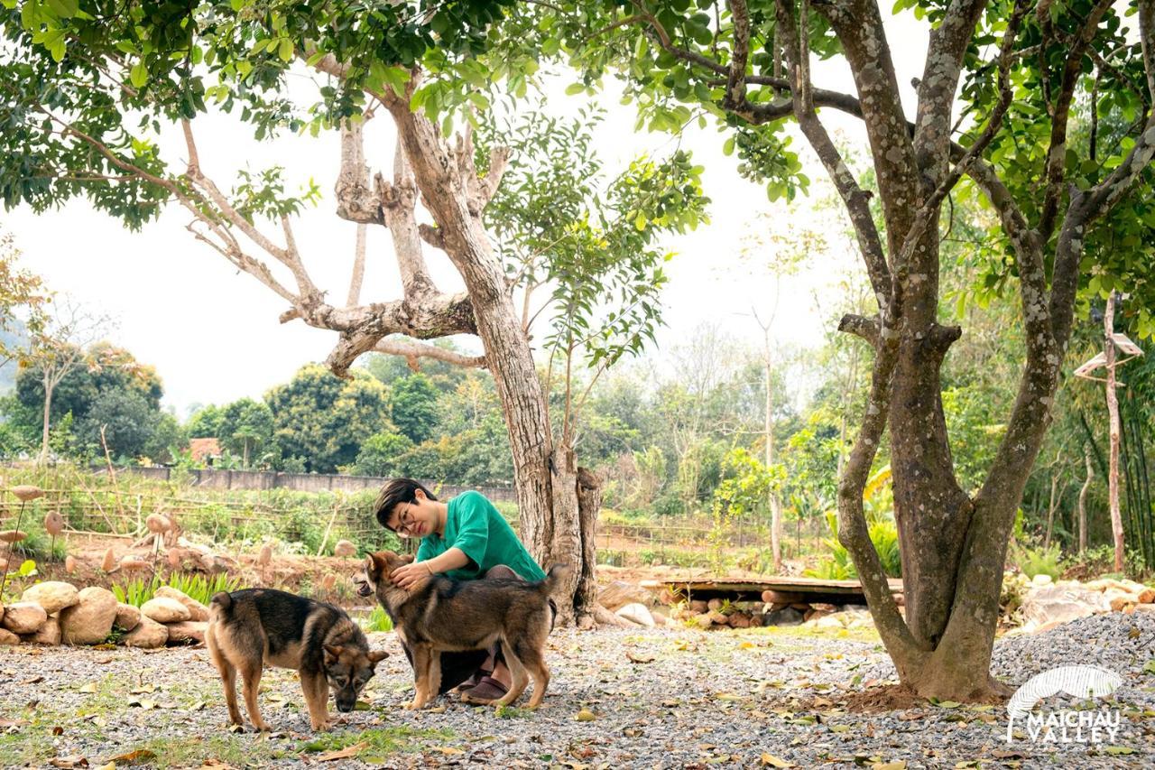 Mai Chau Valley Retreat المظهر الخارجي الصورة