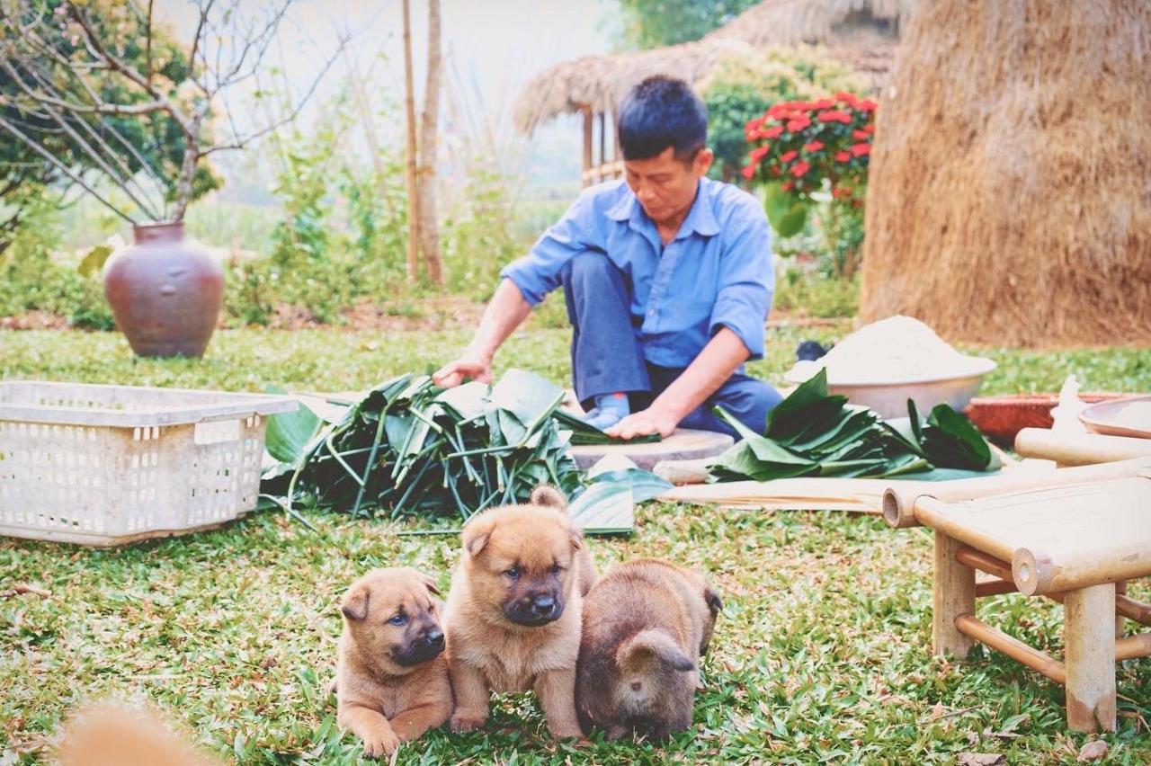 Mai Chau Valley Retreat المظهر الخارجي الصورة